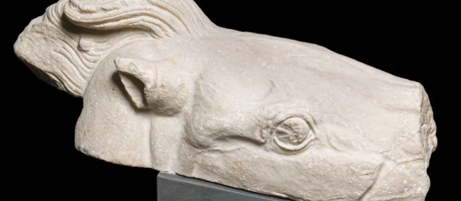 Una de las piezas que el Vaticano restituye a Grecia, la cabeza de caballo, que procede del frontón occidental del edificio