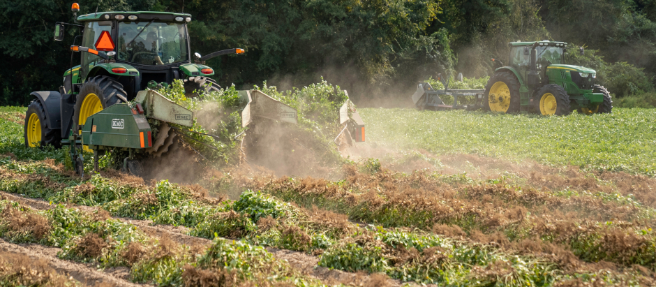 El Consejo de Europa ha pedido que la Comisión Europea elabore un estudio de la propuesta de reglamento relativo al uso sostenible de los productos fitosanitarios.