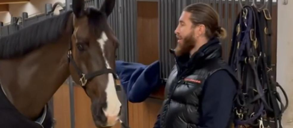 Sergio Ramos junto al caballo Álamo, ahora vendido a Arabia Saudí
