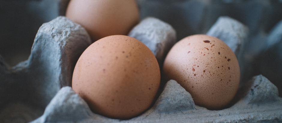 El precio de los huevos en Estados Unidos aumentó un 60 % en 2022