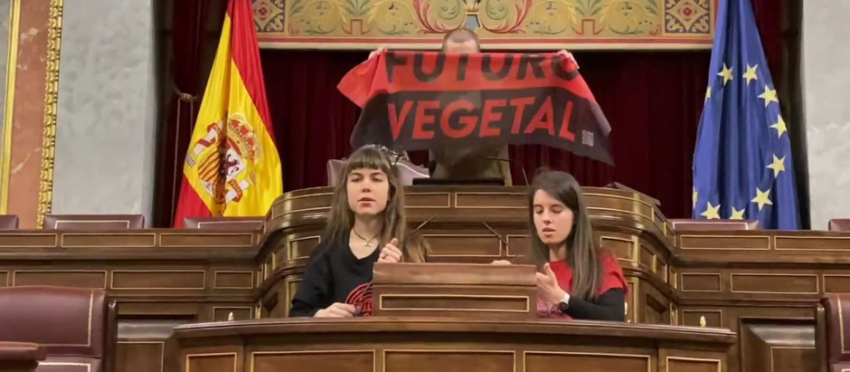 Tres activistas de 'Futuro Vegetal' se pegan al atril del Congreso