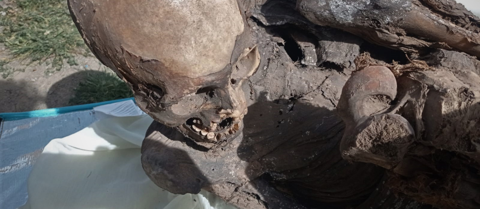 Una momia prehispánica, de entre 600 y 800 años de antigüedad, fue hallada dentro de la mochila de un repartidor de una empresa de "delivery"