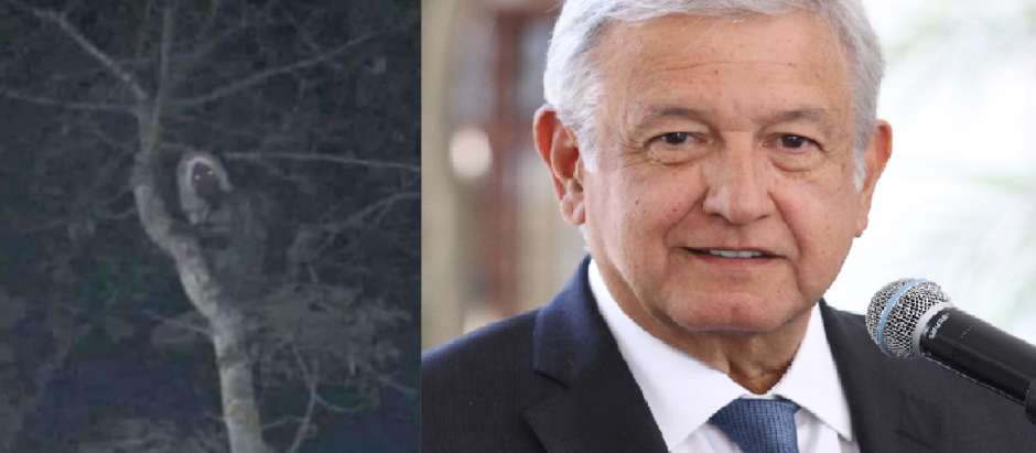 El presidente de México, López Obrador, junto al supuesto elfo maya