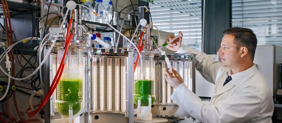 El Prof. Thomas Brück toma muestras del fotobiorreactor en la Cátedra Werner Siemens de Biotecnología Sintética
