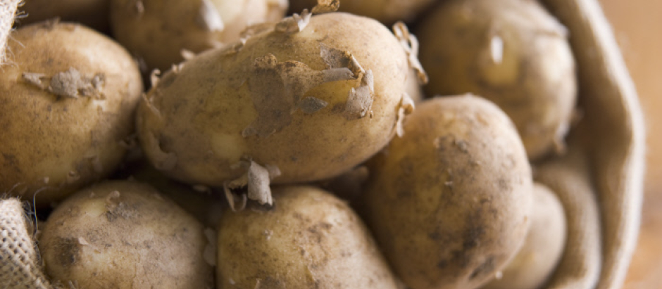 La Policía investiga a los dueños de un almacén de patatas