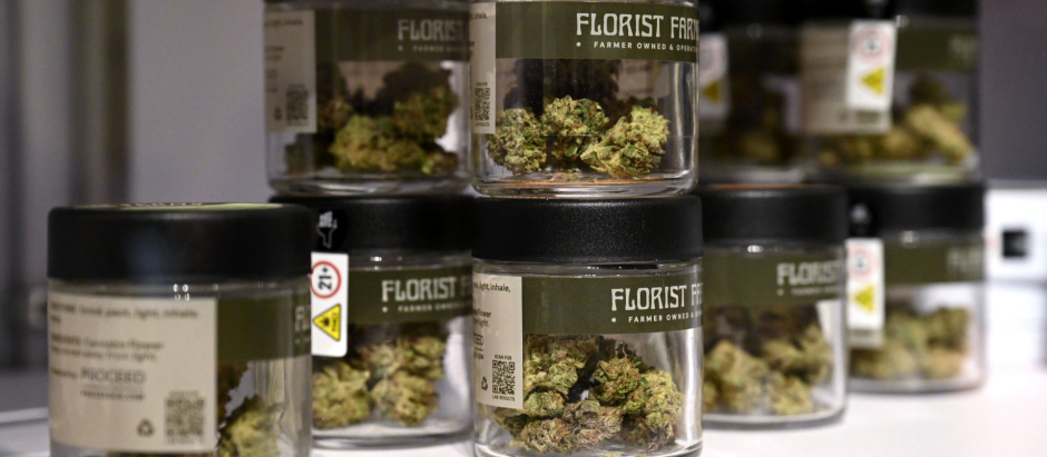 Cogollos de cannabis en una tienda de Nueva York, donde el consumo también es legal