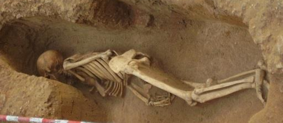 Imagen de parte de los restos humanos hallados en distintas excavaciones de Cádiz, que ahora los científicos han confirmado a través de análisis de ADN que eran fenicios procedentes o descendientes de individuos de Francia. EFE/Unidad de Cultura Científica de la UCM - SOLO USO EDITORIAL/SOLO DISPONIBLE PARA ILUSTRAR LA NOTICIA QUE ACOMPAÑA (CRÉDITO OBLIGATORIO) -