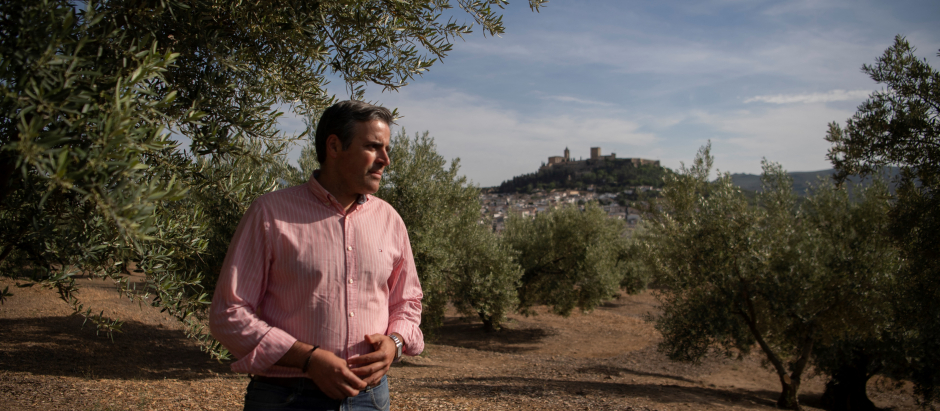 El agricultor Cristóbal Cano observa su olivar, en Alcalá la Real, cerca de Jaén