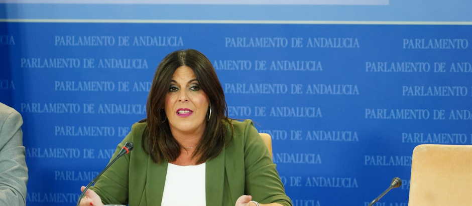 La portavoz parlamentaria del PSOE andaluz, Ángeles Férriz, en rueda de prensa