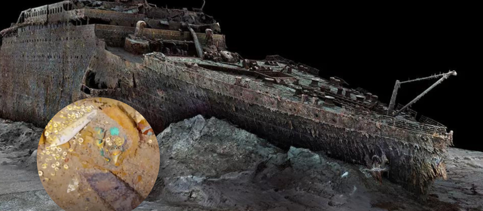 Un grupo de investigadores encontró un collar de oro con un diente de Megalodón, un tiburón prehistórico de 17 metros de largo