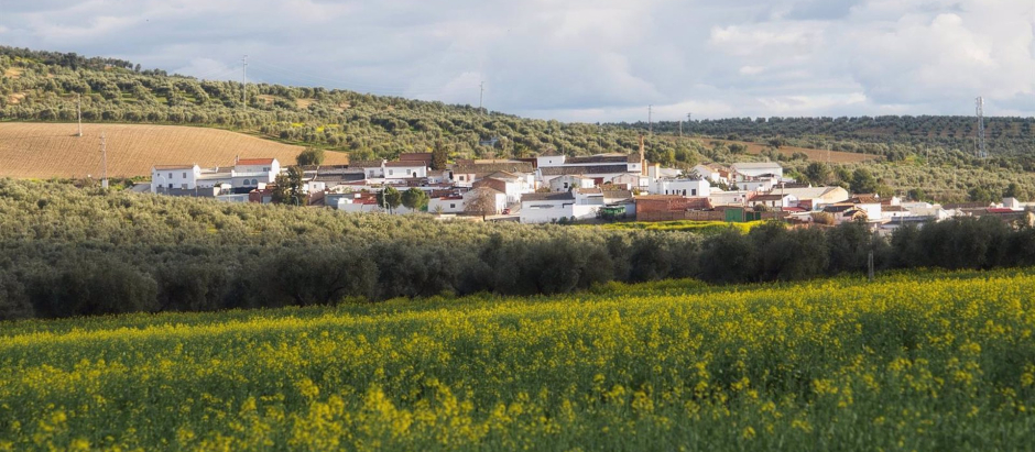 La aldea bujalanceña de Morente, rodeada de olivos y otras tierras de cultivo, donde se instalará parte de la planta solar proyectada