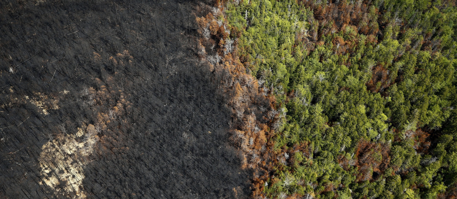 Daños por incendios forestales en el área de Tantallon en Canadá