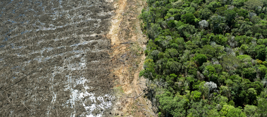 Deforestación en la Amazonía brasileña