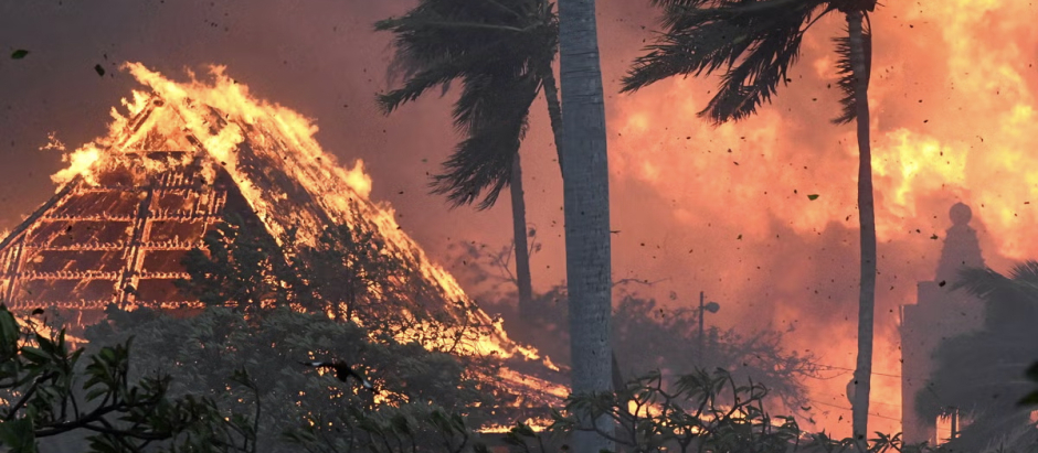 Edificios y palmeras ardiendo en Hawái