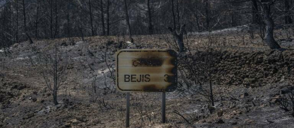El incendio en Bejís fue el segundo más grave de los que se dieron en la Comunidad Valenciana en 2022.