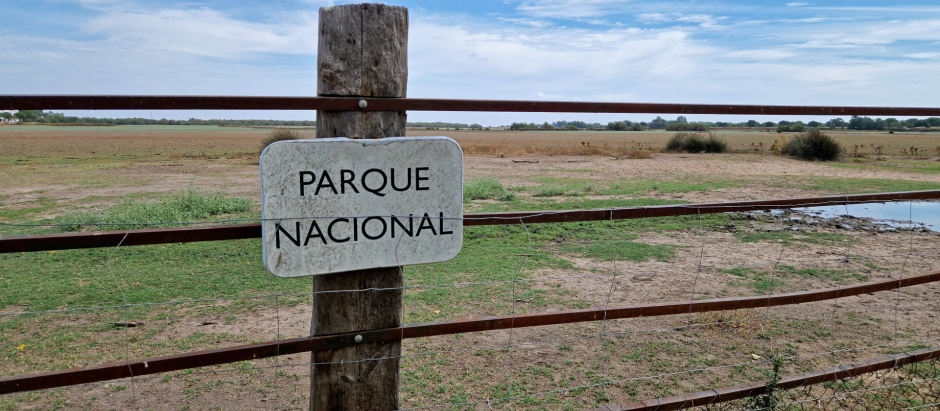 Vista del Parque Nacional de Doñana desde la localidad de Almonte (Huelva)