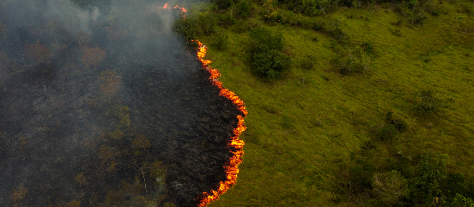 Humo procedente de los incendios en la Amazonía