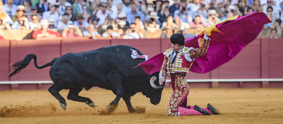 El Juli recibe de rodillas a su segundo toro en la última de las corridas de la Feria de San Miguel en la Plaza de la Maestranza de Sevilla