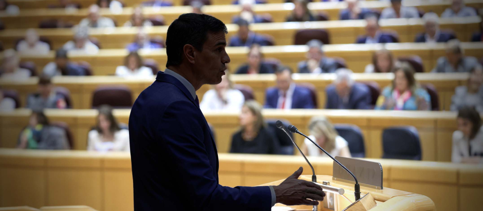 El presidente del Gobierno en funciones, Pedro Sánchez, en el Senado