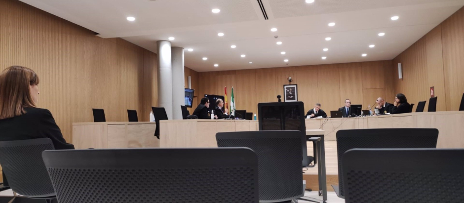 La exalcaldesa del municipio cordobés de Peñarroya-Pueblonuevo Luisa Ruiz en el juicio.