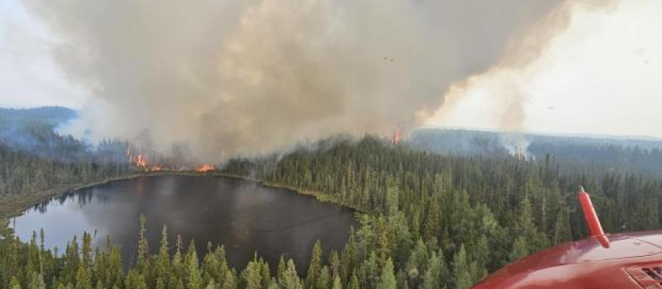 El 1 de marzo de este año comenzaron una serie de 6.669 incendios en Canadá que afectaron a todas sus provincias y arrasaron 18,5 millones de hectáreas, una extensión mayor que la del estado de Florida.