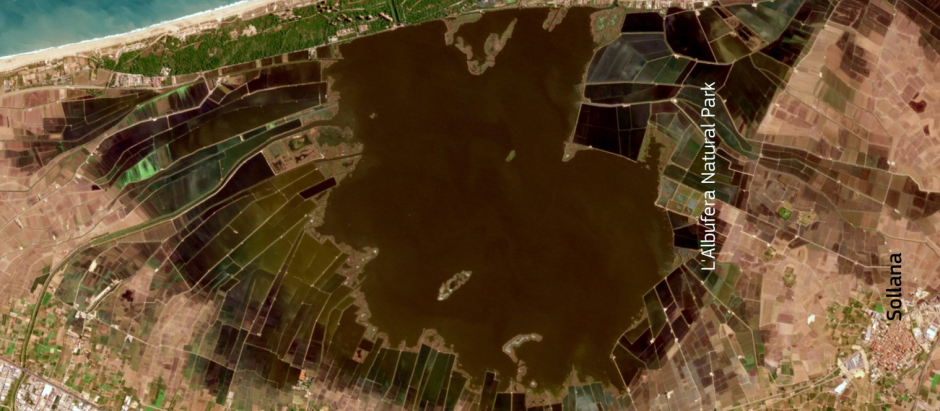 La Albufera de Valencia, a vista de satélite