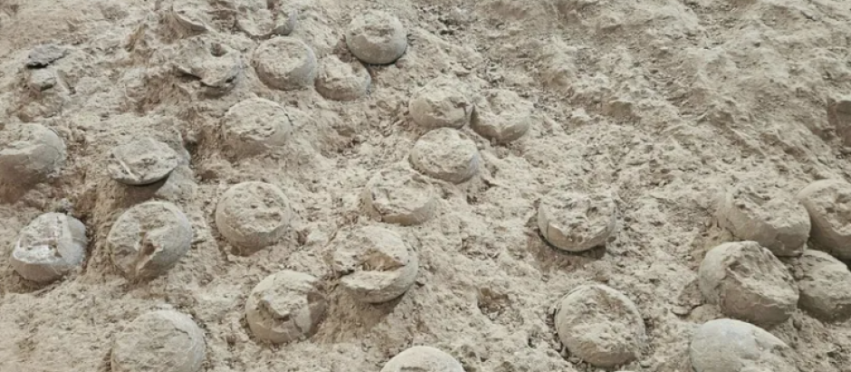 Fósiles de huevos de dinosaurio cristalizados descubiertos en Shiyan, provincia de Hubei, en el centro de China
