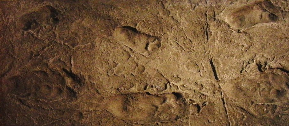 Réplica de las huellas de hominino encontradas en Laetoli, en el Museo Nacional de Ciencia de Japón