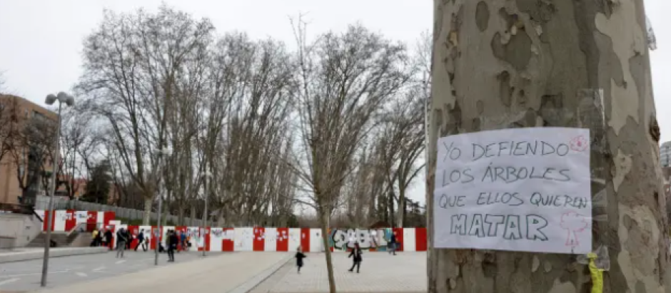La izquierda está utilizando la tala de árboles en Madrid para atacar a su Gobierno