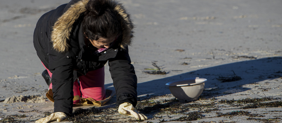 Una mujer busca pélets en una playa de Pontevedra