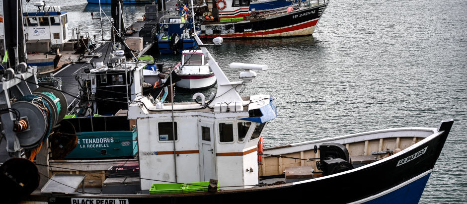 Barcos amarrados en el puerto pesquero de Chef de Baie en La Rochelle