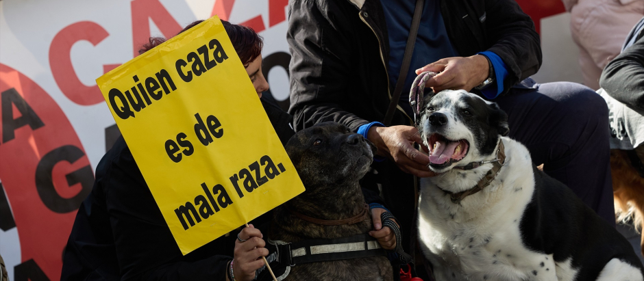 Dos perros durante la manifestación No a La Caza, en la Plaza de Callao