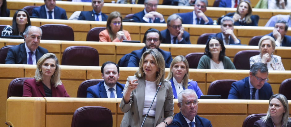 La portavoz del Partido Popular en el Senado, Alicia García, en una sesión de control al Gobierno