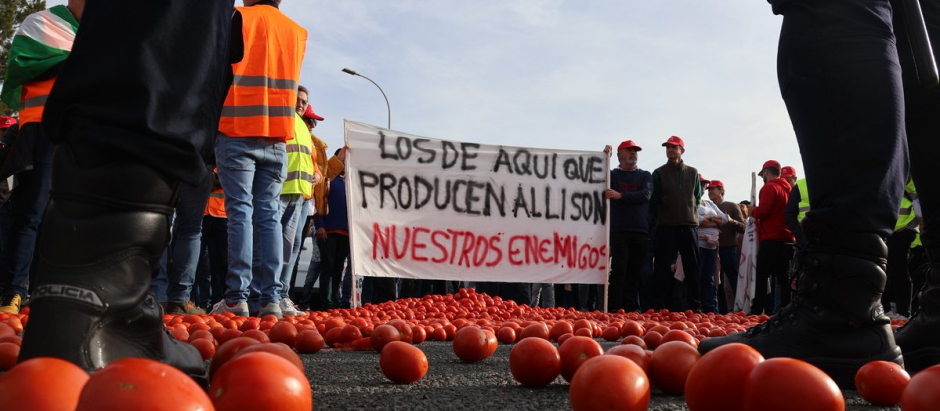 Agricultores arrojan tomates durante una protesta en el puerto de Motril (Granada)