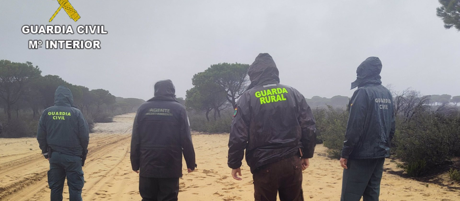 Agentes del Deprona de Doñana de la Guardia Civil de Huelva