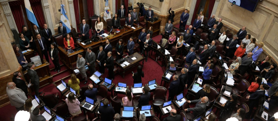 El Senado rechaza el 'mega decreto' de Javier Milei