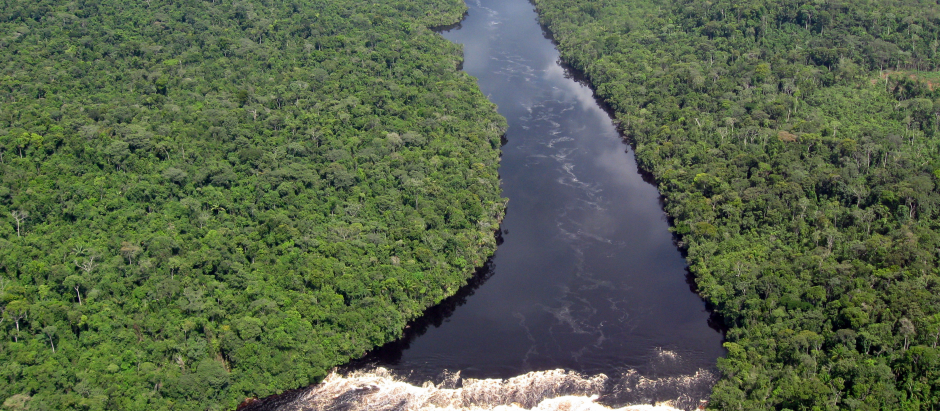 La biodiversidad venezolana está en peligro por los efectos del cambio climático