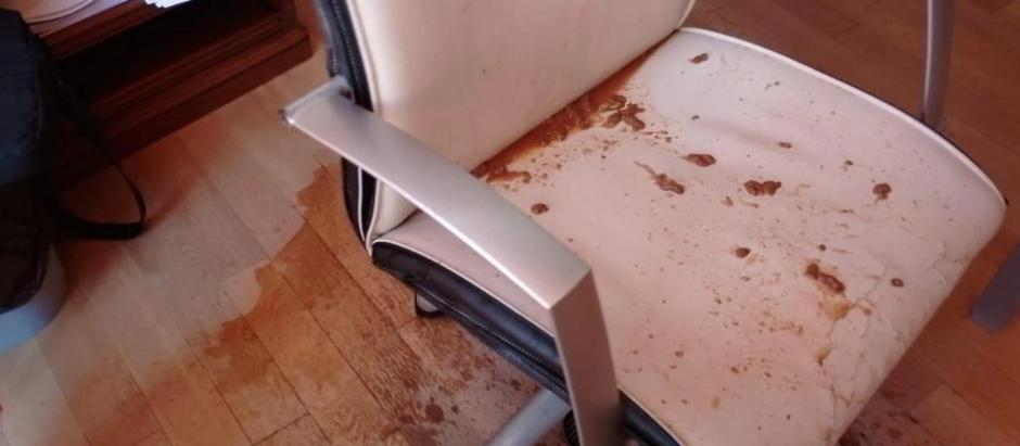 Imagen de cómo quedó una de las sillas del despacho