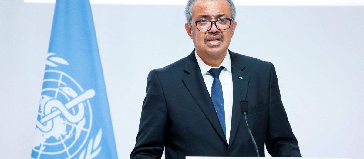 Adhanom Ghebreyesus, Director General de la OMS