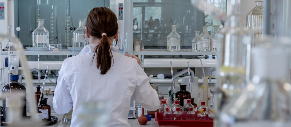 investigación