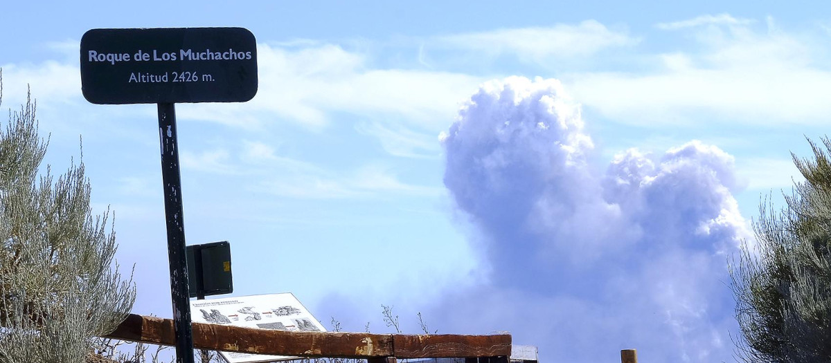 La columna de humo que sale del volcán de La Palma, vista desde el Roque de los Muchachos