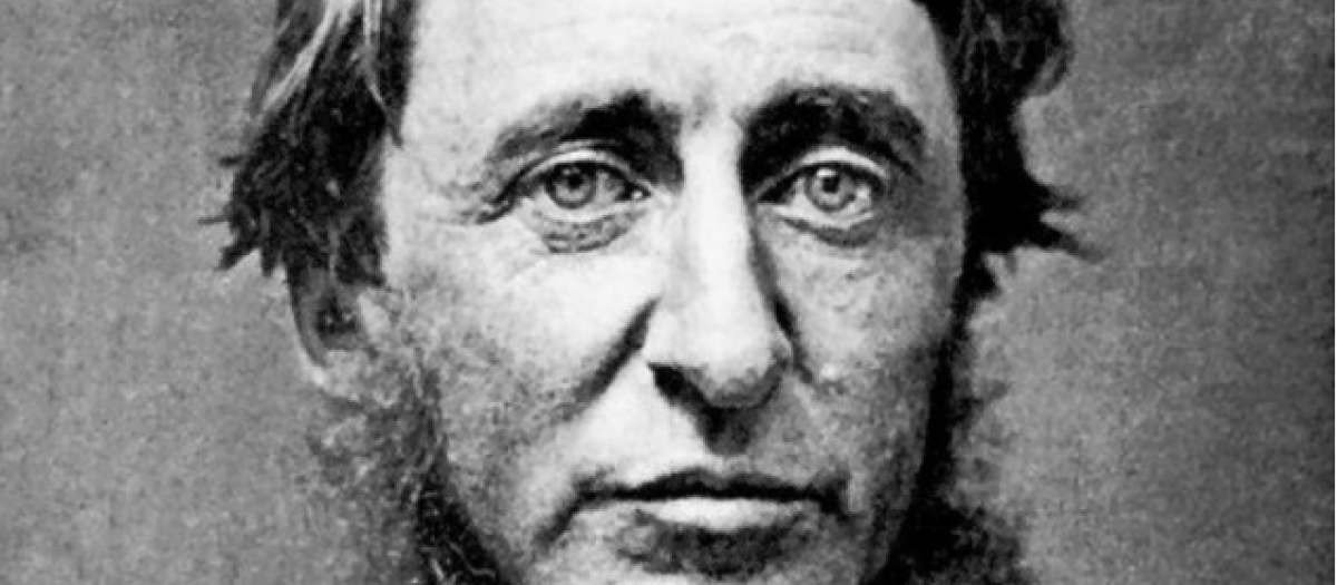 Henry David Thoreau