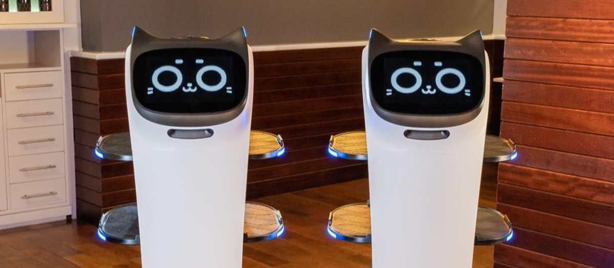 Hollabot y Bellabot listos para atender a los clientes