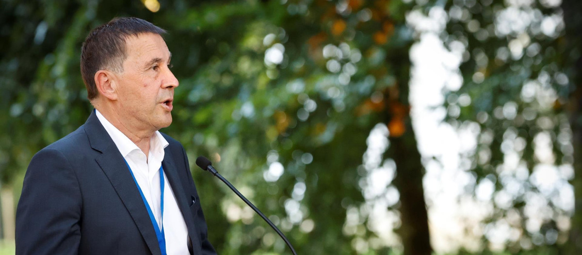 El secretario general de EH Bildu, Arnaldo Otegi