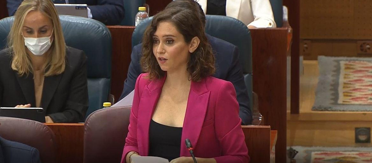 Isabel Díaz Ayuso, en la Asamblea de Madrid