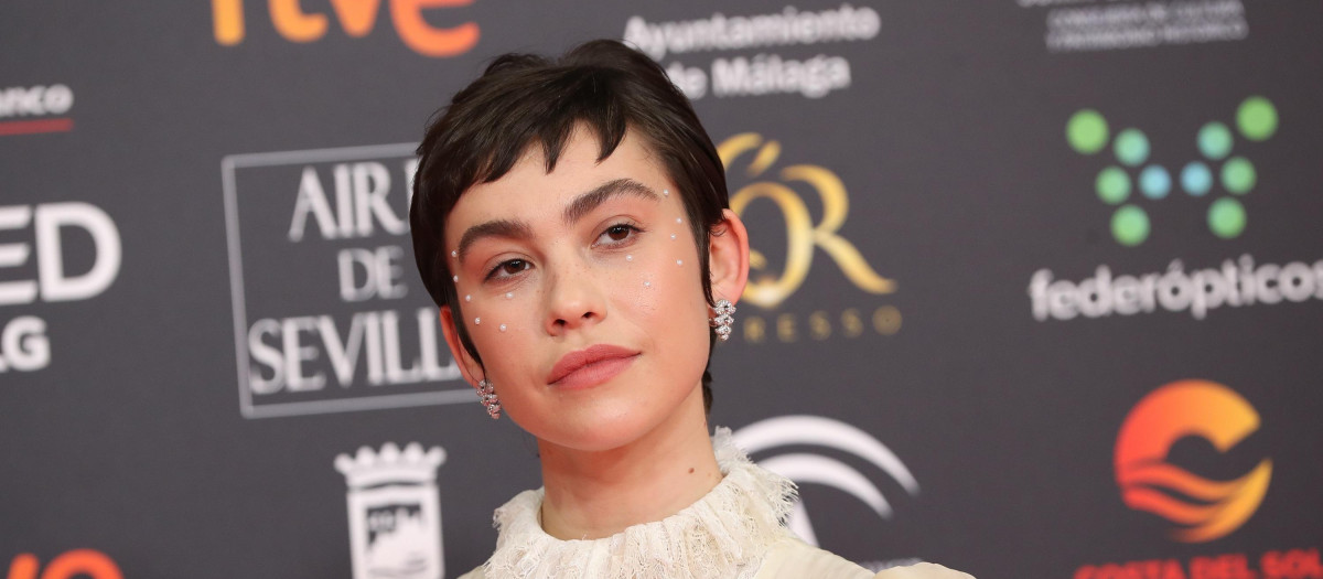Actress Greta Fernandez at photocall of the 34th annual Goya Film Awards in Malaga on Saturday, 25 January 2020.
En la foto, con maquillaje de piedras / brillantes
