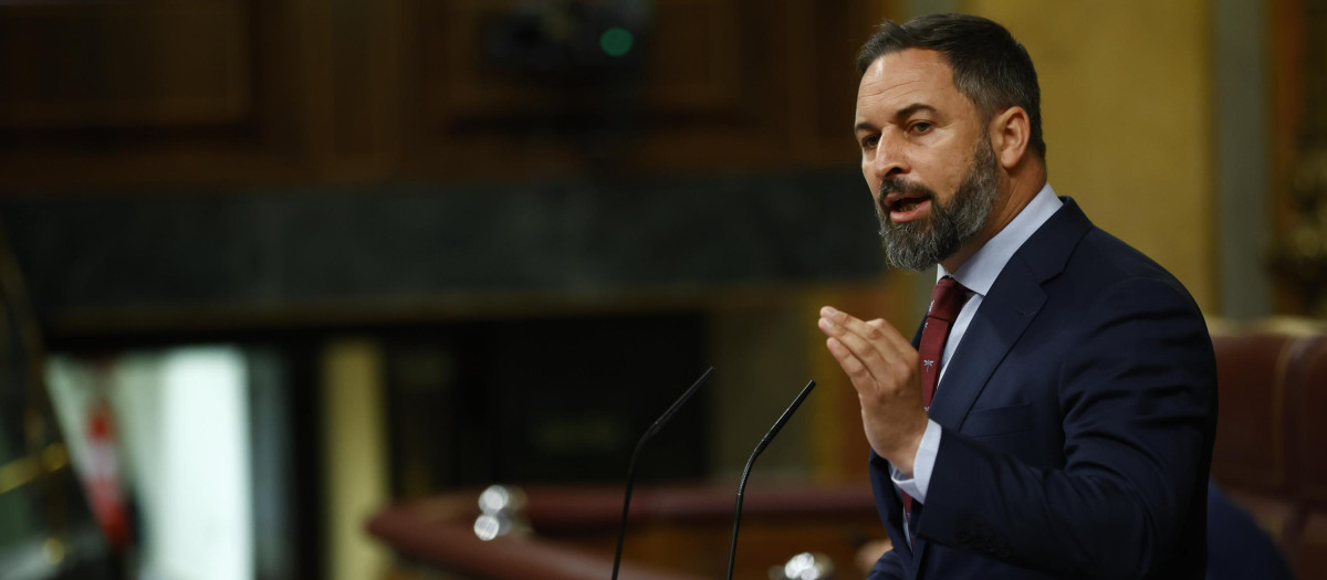 Santiago Abascal, durante una sesión de control al Gobierno en junio de 2021.
