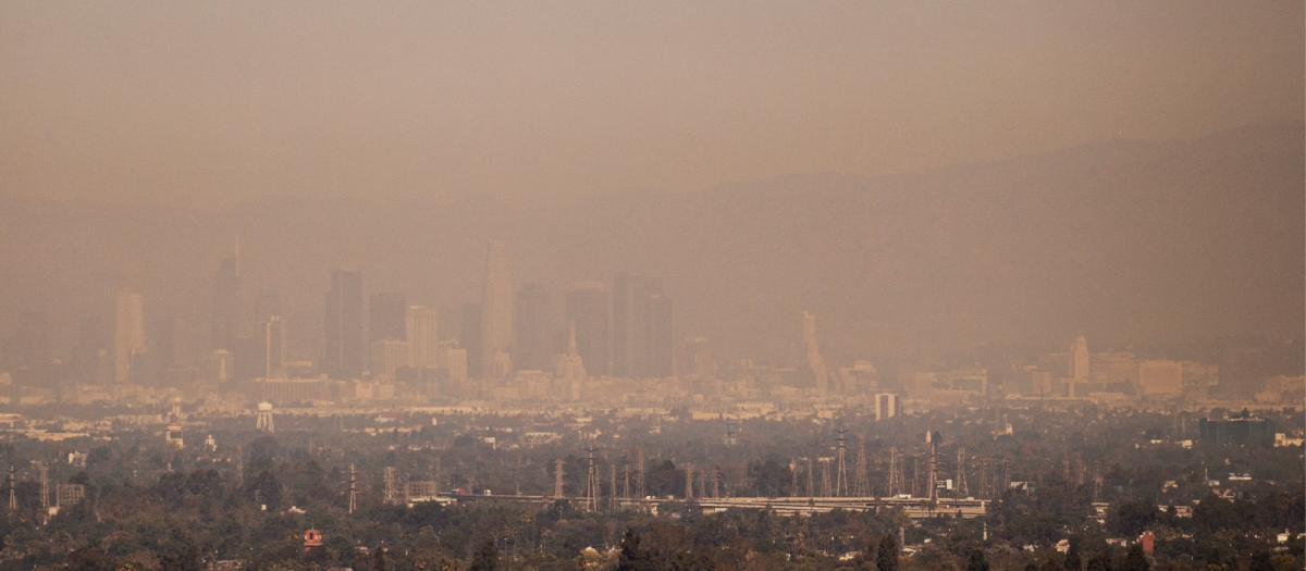 Polución contaminación