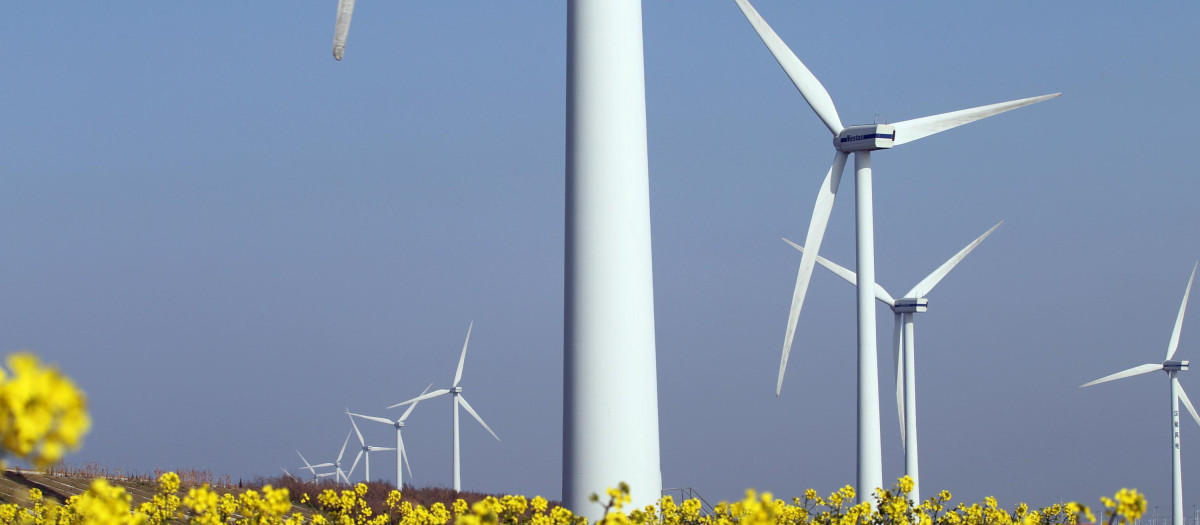 Molinos de energía eólica