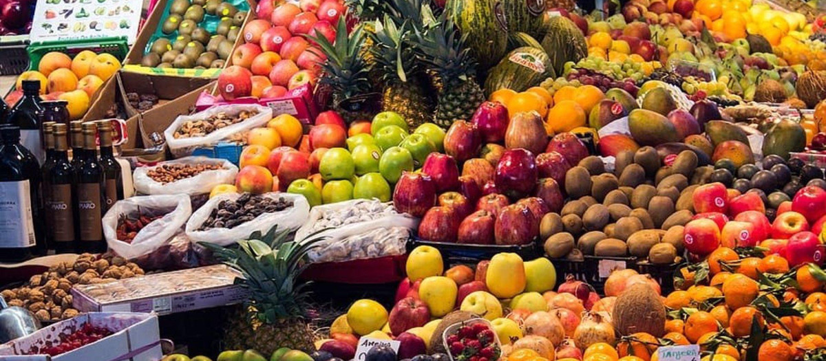 La base de la alimentación en productos de origen vegetal es bueno para la persona y el ecosistema de cada país